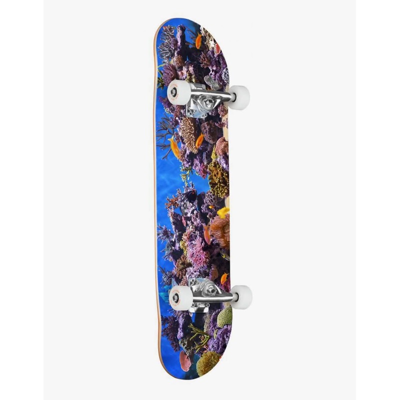 Mini Logo Fish Tank ’18’ 191 Complete Skateboard – 7.5