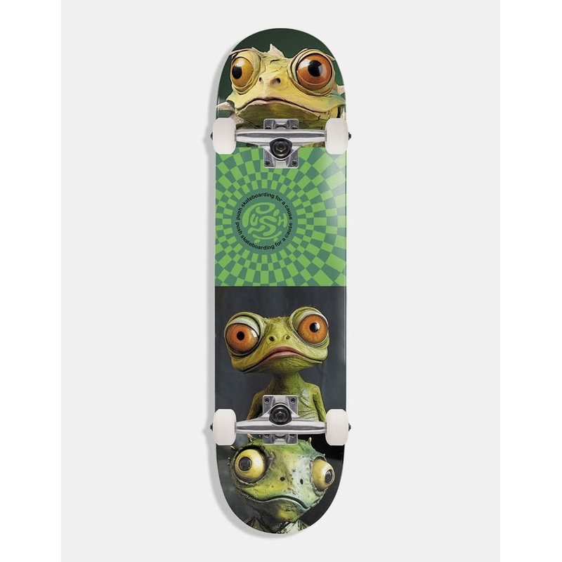 Push Gecko FP Complete Skateboard – 8